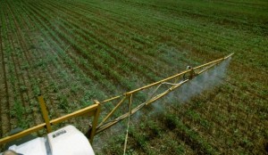 Chemical application, sprayer boom arm during application to a no-till soybean field in wheat stubble