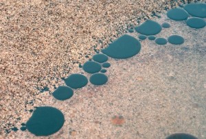 CytoSol dissolving Crude Oil off beach (2)