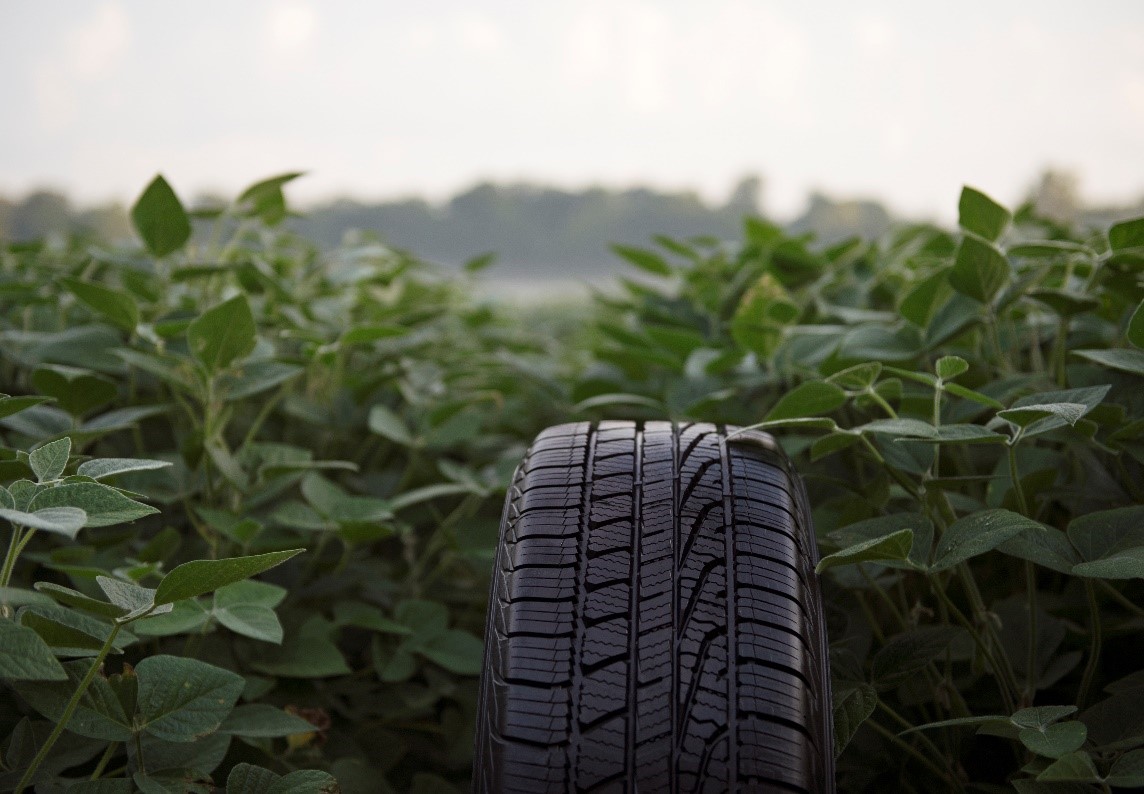 Goodyear soy tire sitting among soybean plants