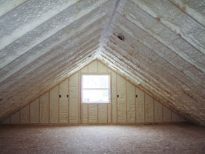 Soy Plant Foam Insulation-Environmentally Friendly Foam